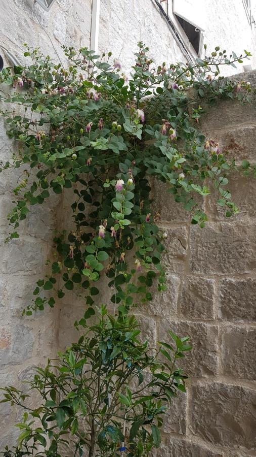 טרוגיר Villa Moretti מראה חיצוני תמונה